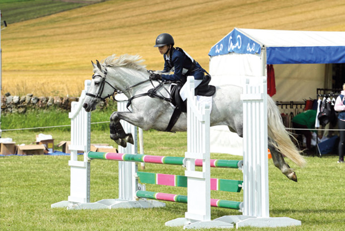 Show Jumping