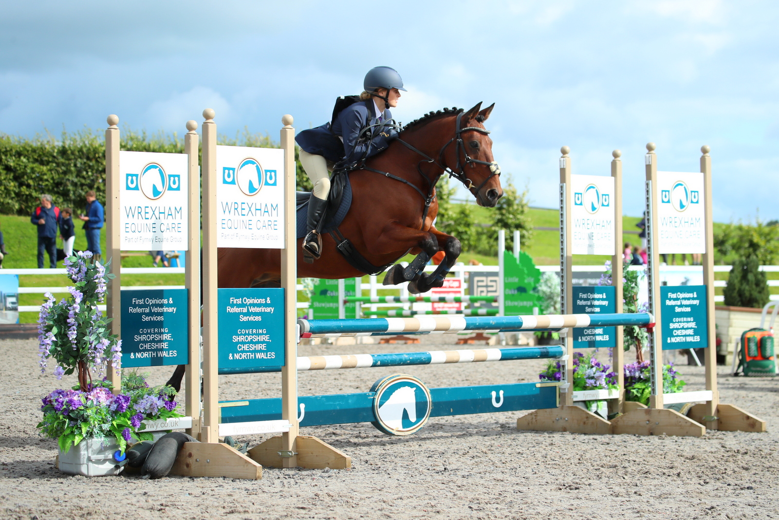 Regional Championships | The Pony Club UK