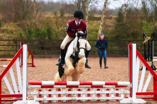 Gallery Image for Pony Club