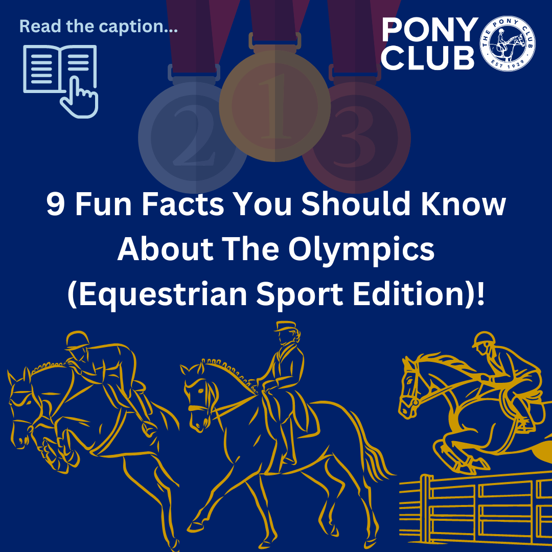9 Fun Facts You Should Know About The Olympics (Equestrian Sport Edition) !