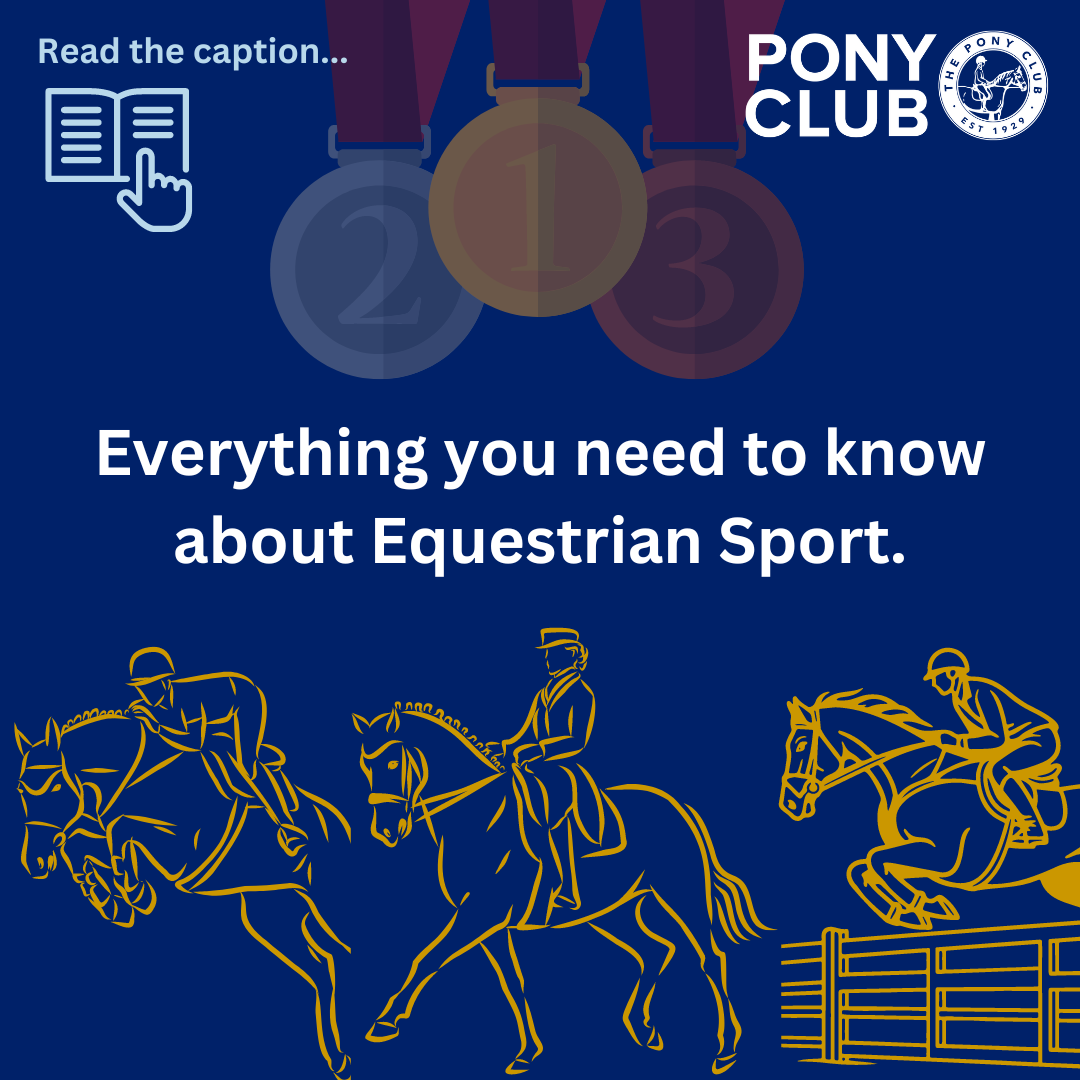 Everything you need to know about Equestrian Sport in the Olympics