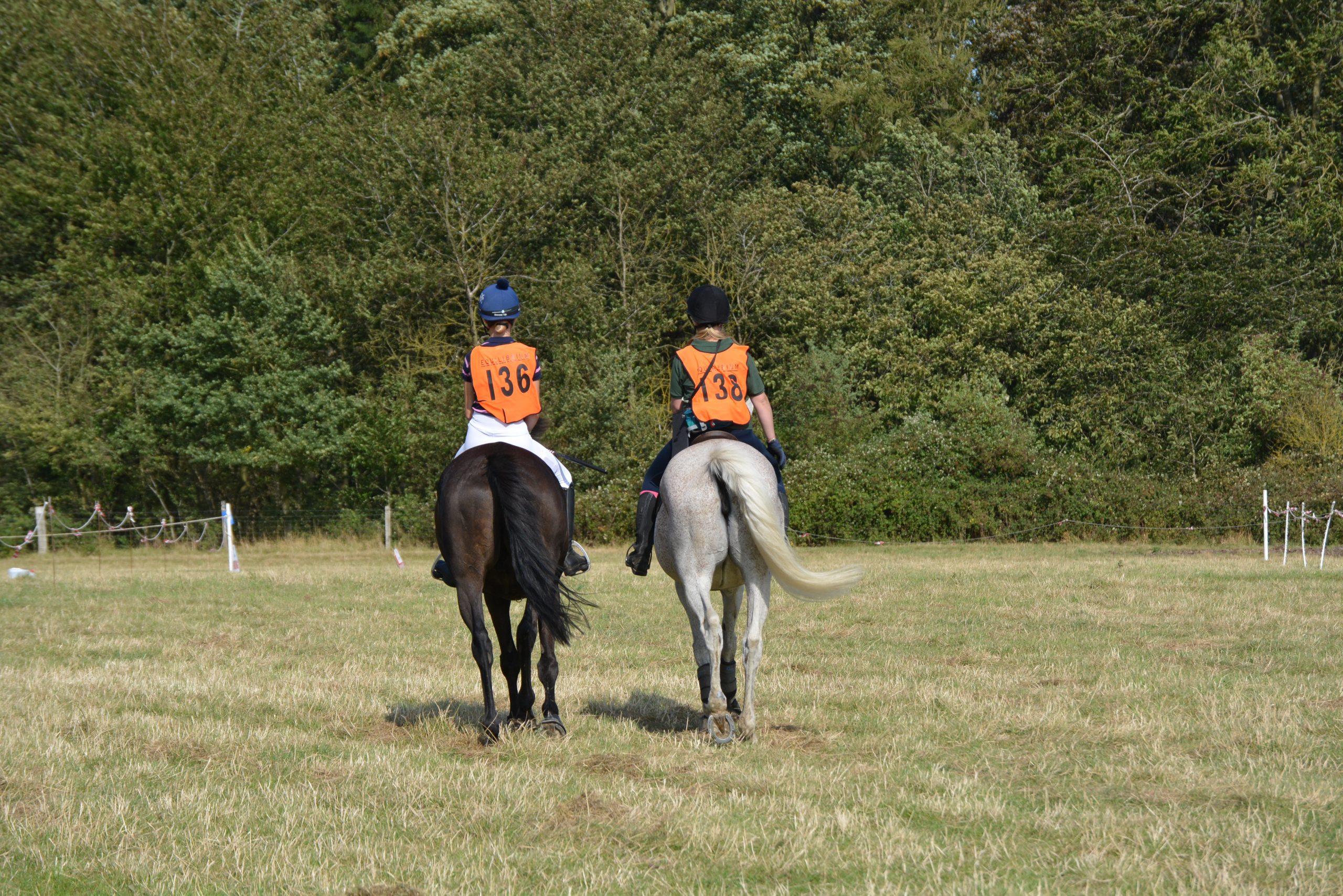 Introducing The Pony Club Endurance Relay!