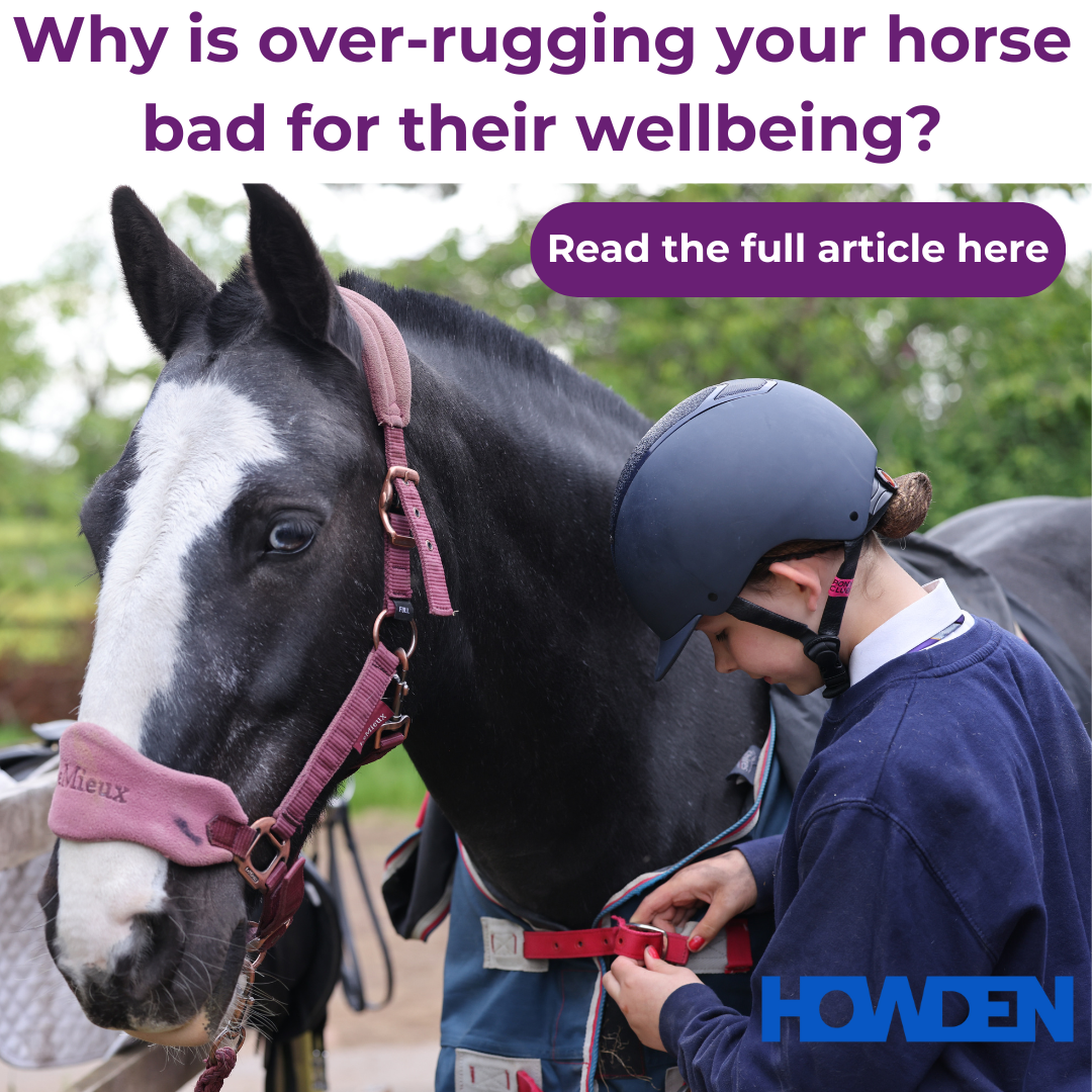 Why is over-rugging your horse bad for their wellbeing?