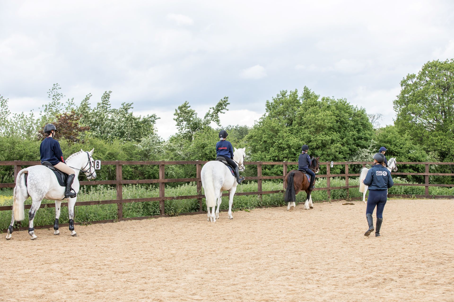 Gallery Image for Pony Club