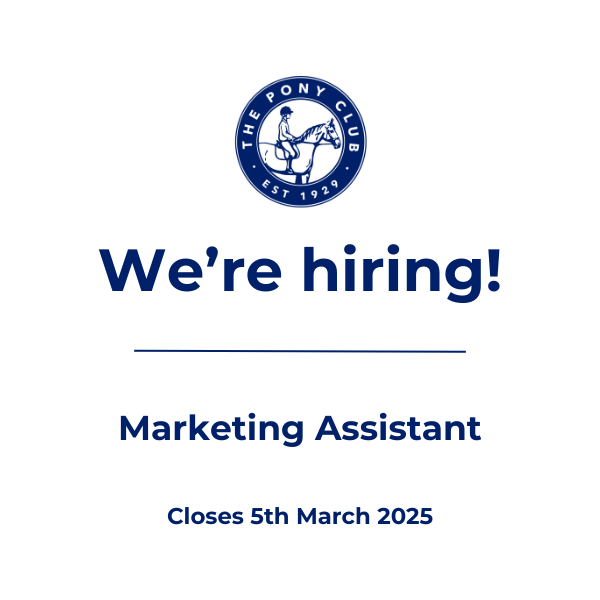 Marketing Assistant