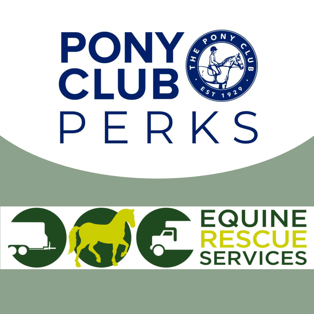 Travel with Confidence: Equine Rescue Services Perk