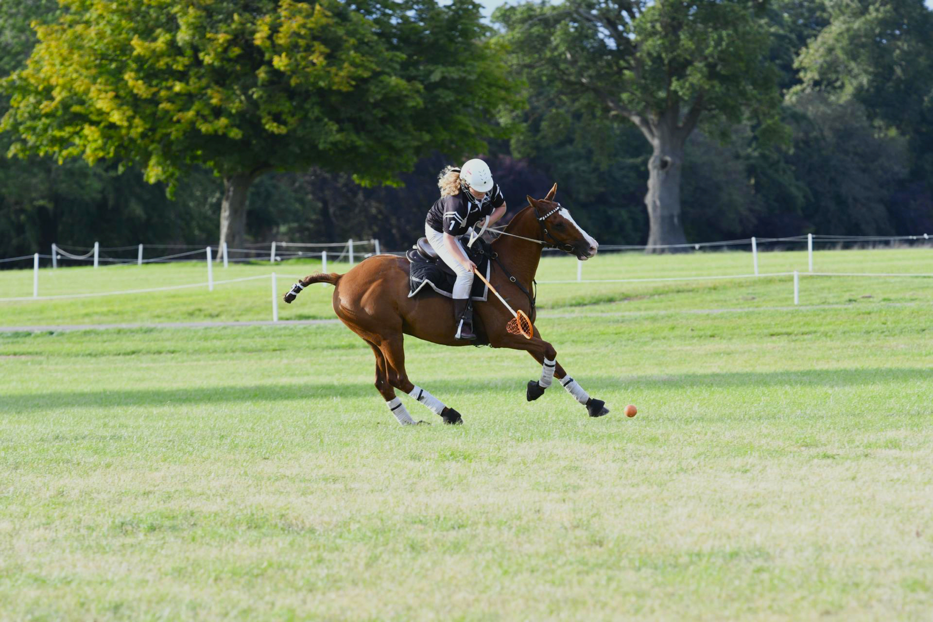 Polocrosse
