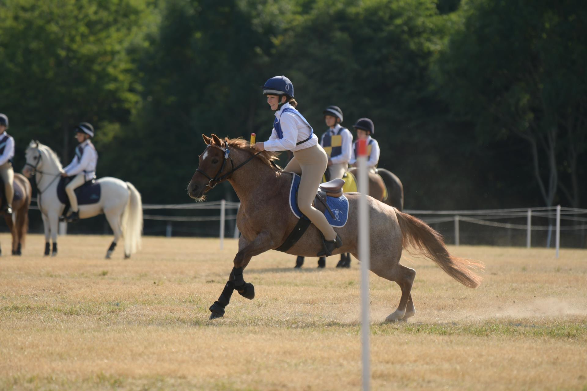 Sport Specific Coaching