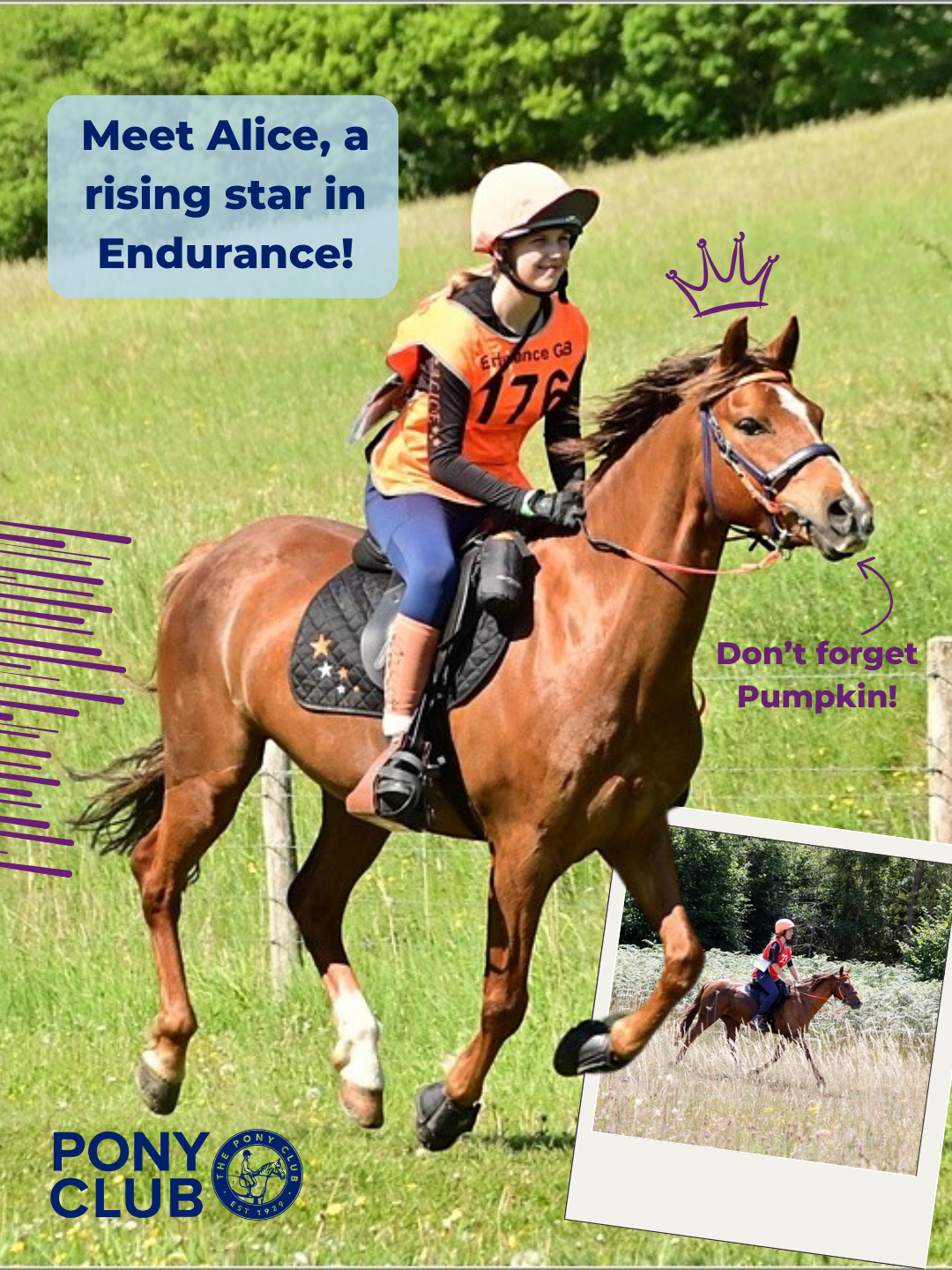 Pony Power Across Land and Sea: How Isle of Wight Member Alice Critchison Became a Rising Star in Endurance