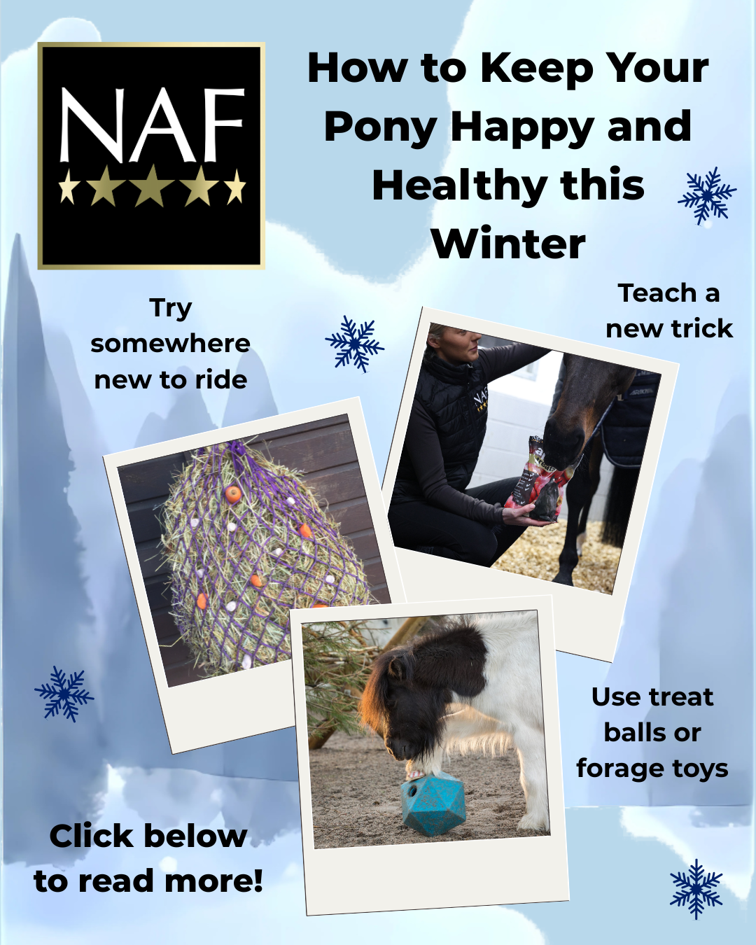 NAF's Top Tips on How to Keep Your Pony Happy and Healthy this Winter
