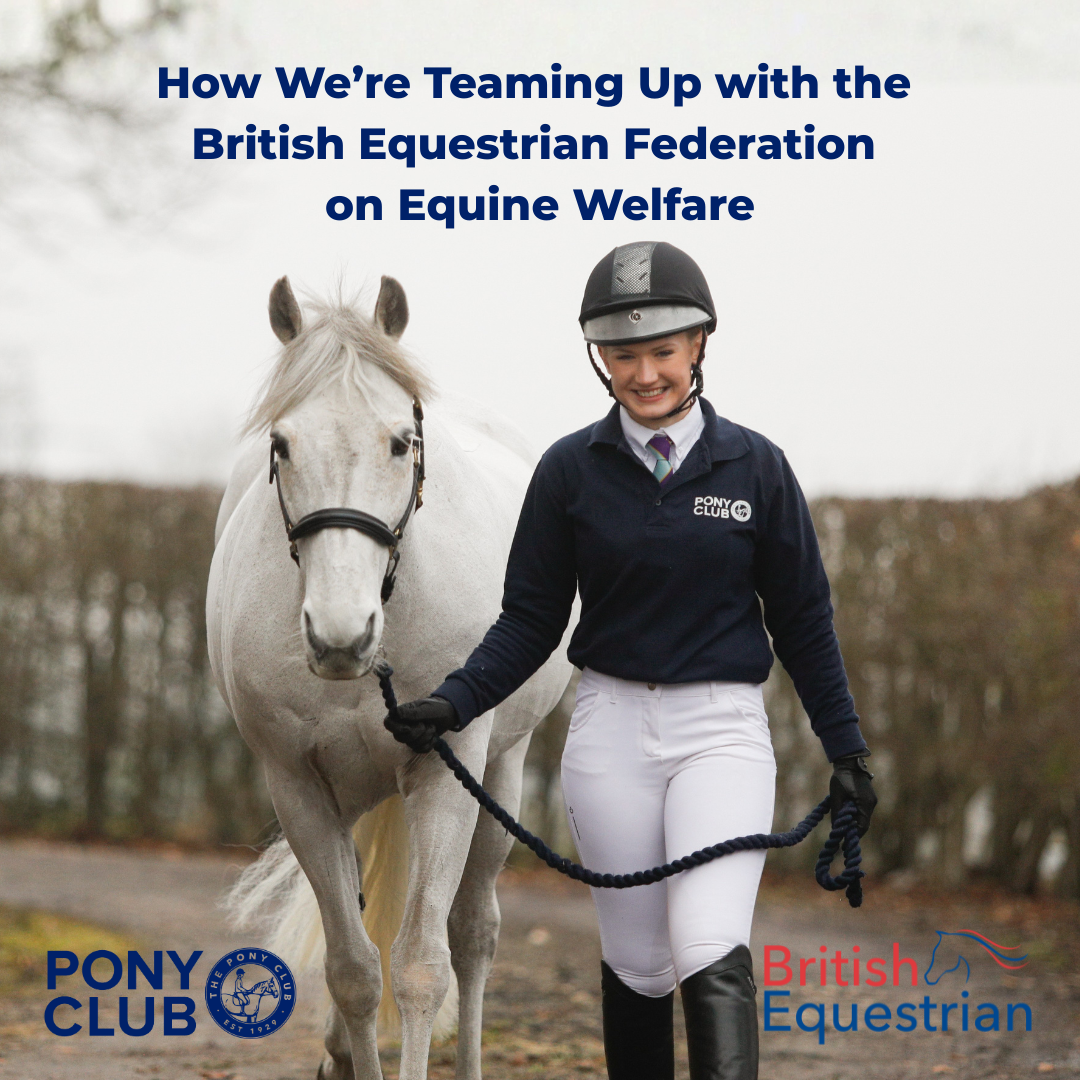 How We're Teaming Up with the British Equestrian Federation on Equine Welfare