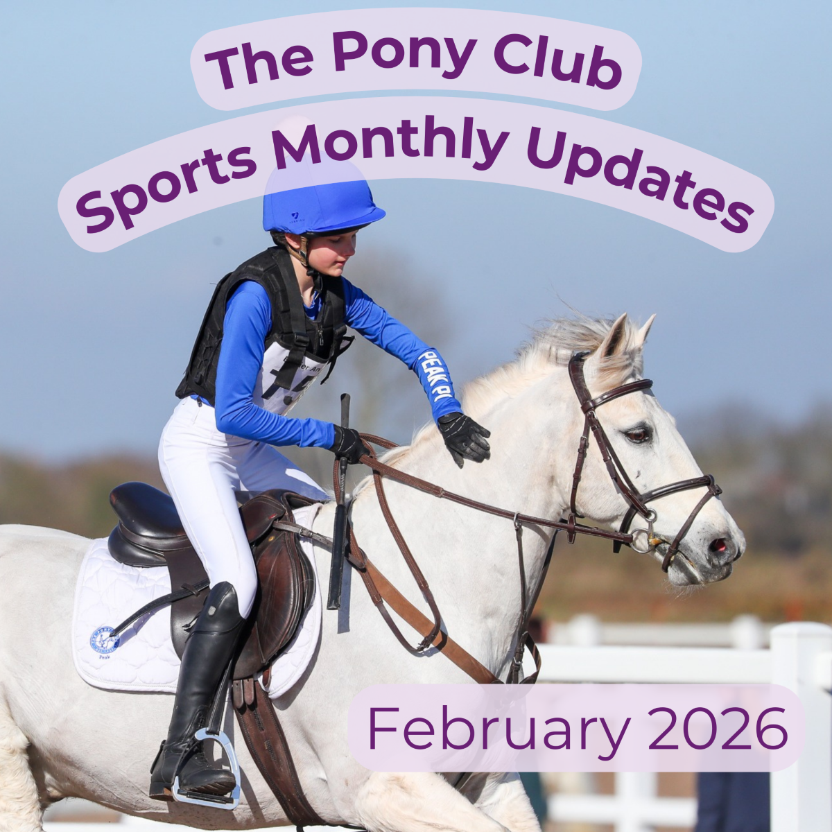 Sports Update - February 2026