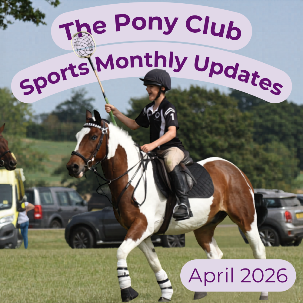 Sports Update – April 2026