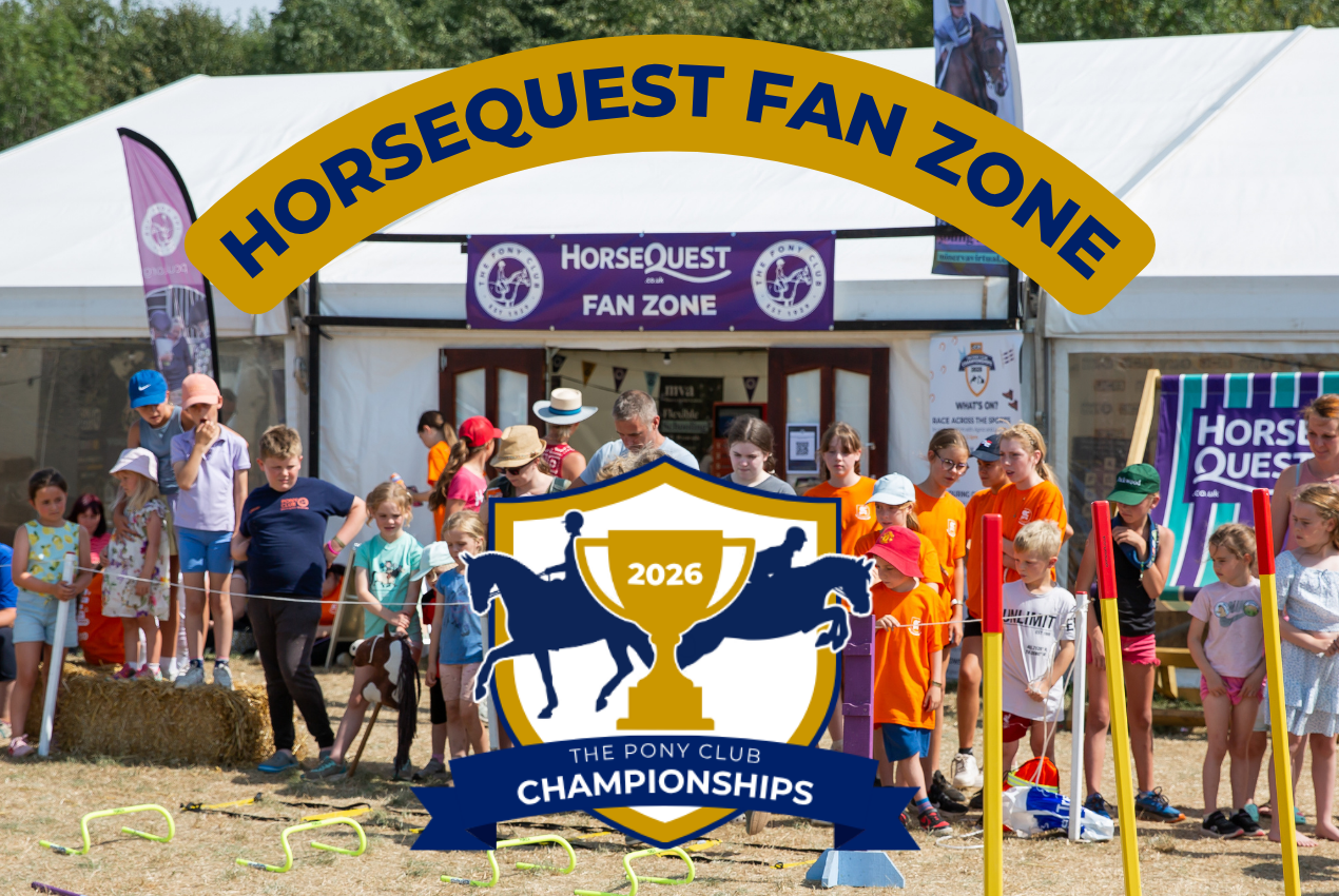 Horse Quest Fan Zone