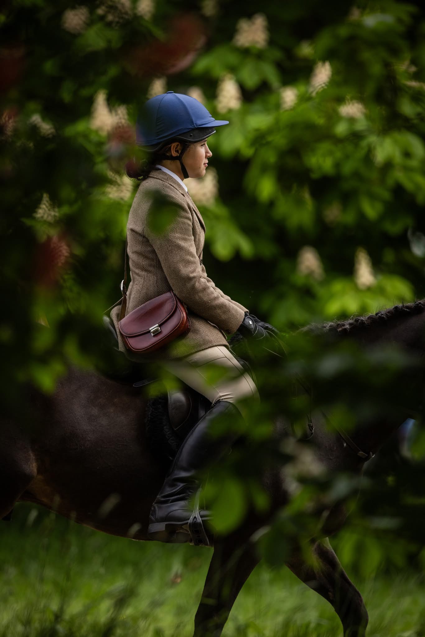 Gallery Image for Pony Club