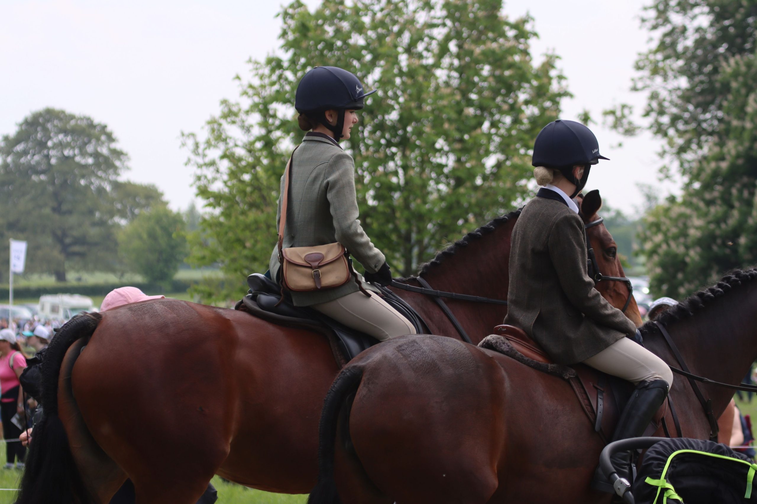 Gallery Image for Pony Club