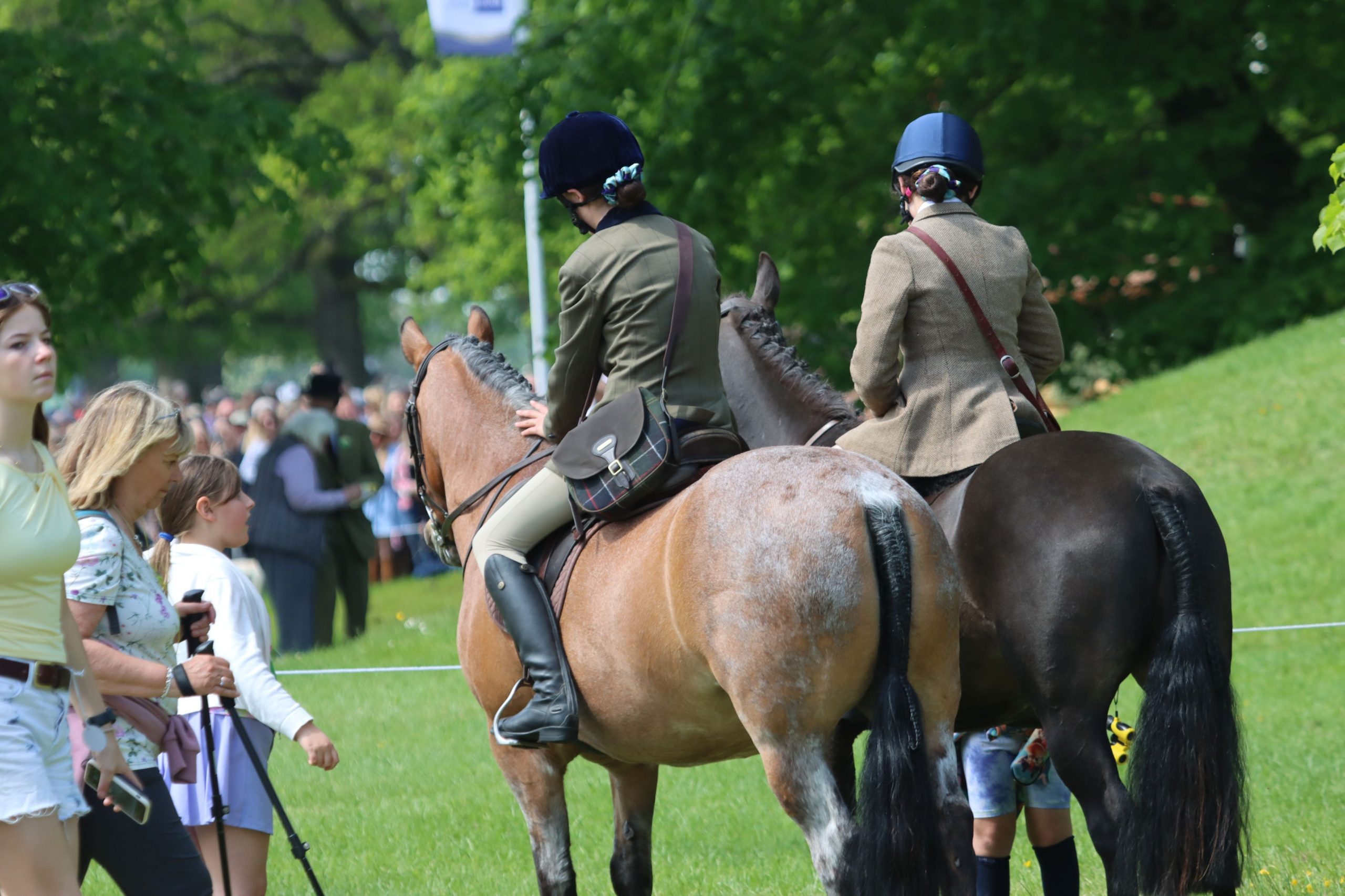 Gallery Image for Pony Club