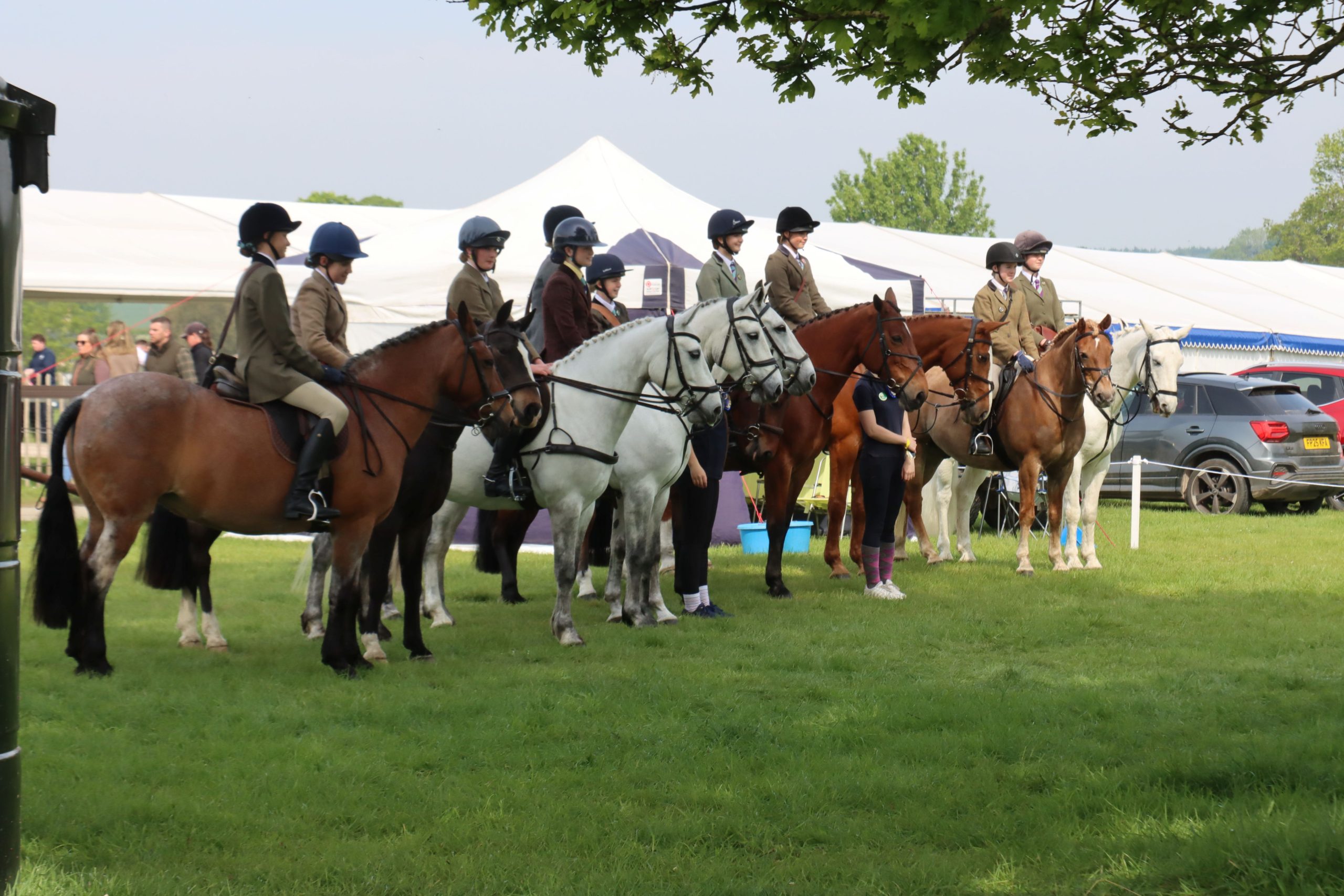 Gallery Image for Pony Club