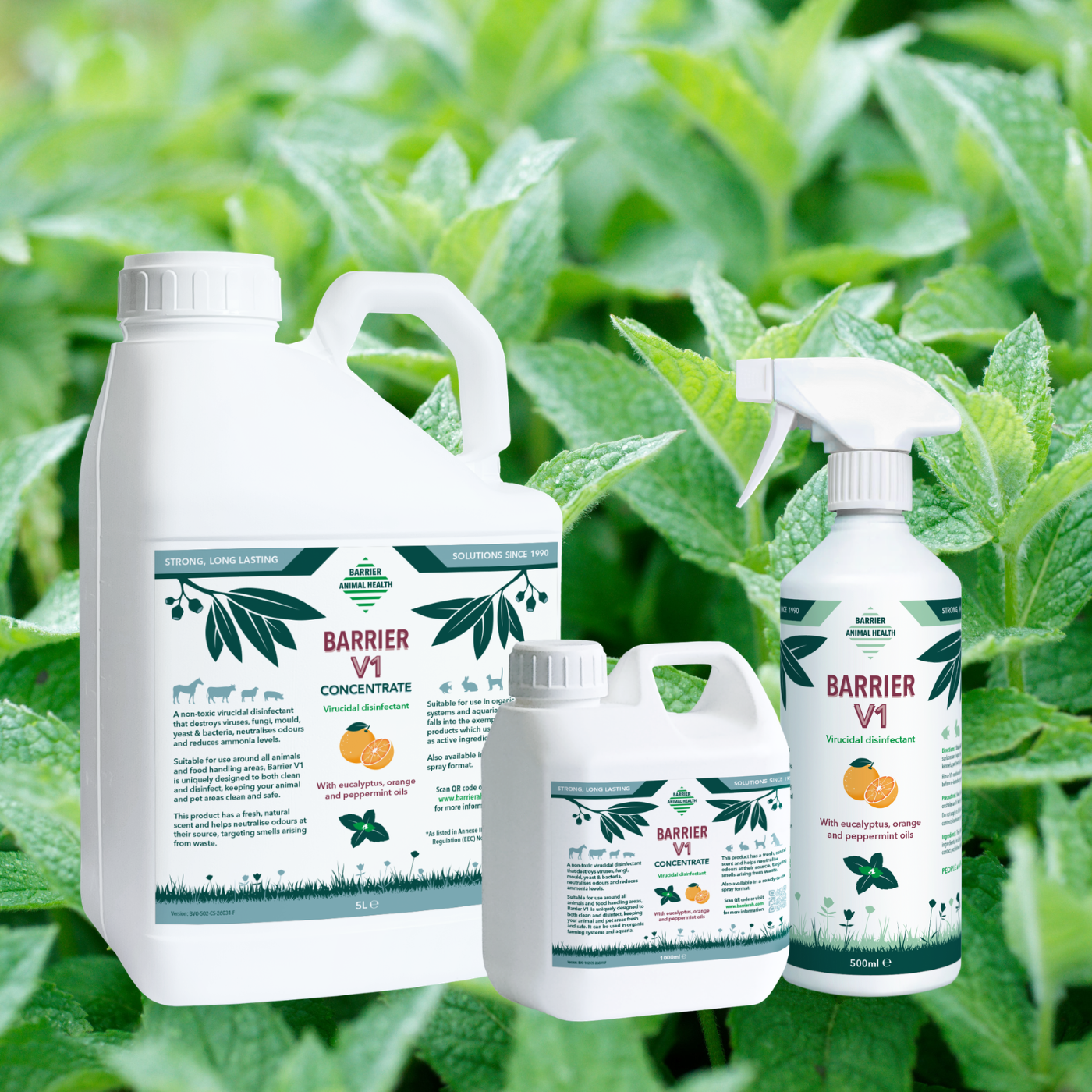 3 Ways to Limit the Risk of Equine Flu from Barrier Animal Health