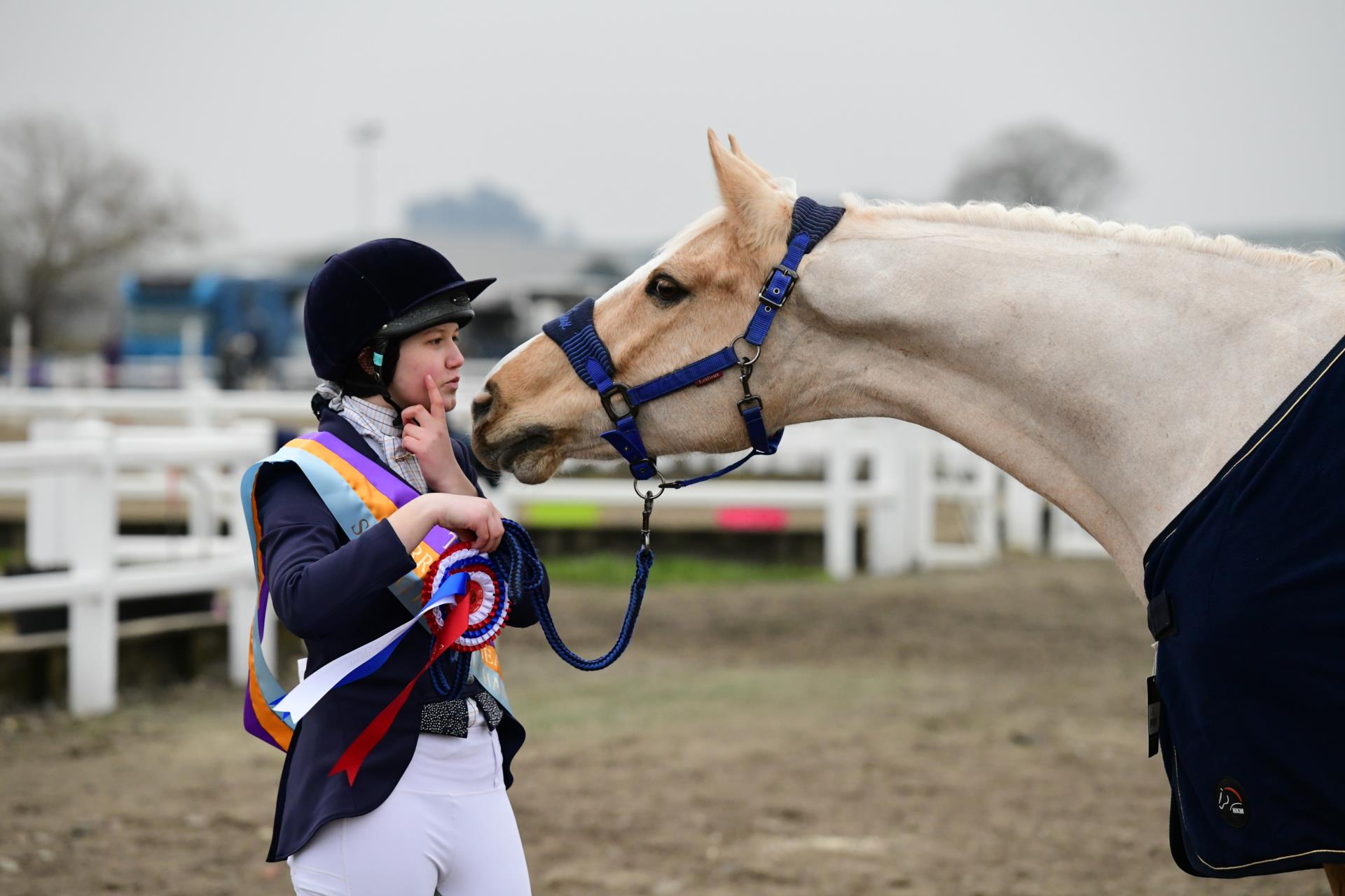 Equine Welfare