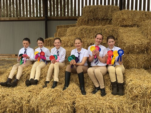 Gallery Image for Pony Club