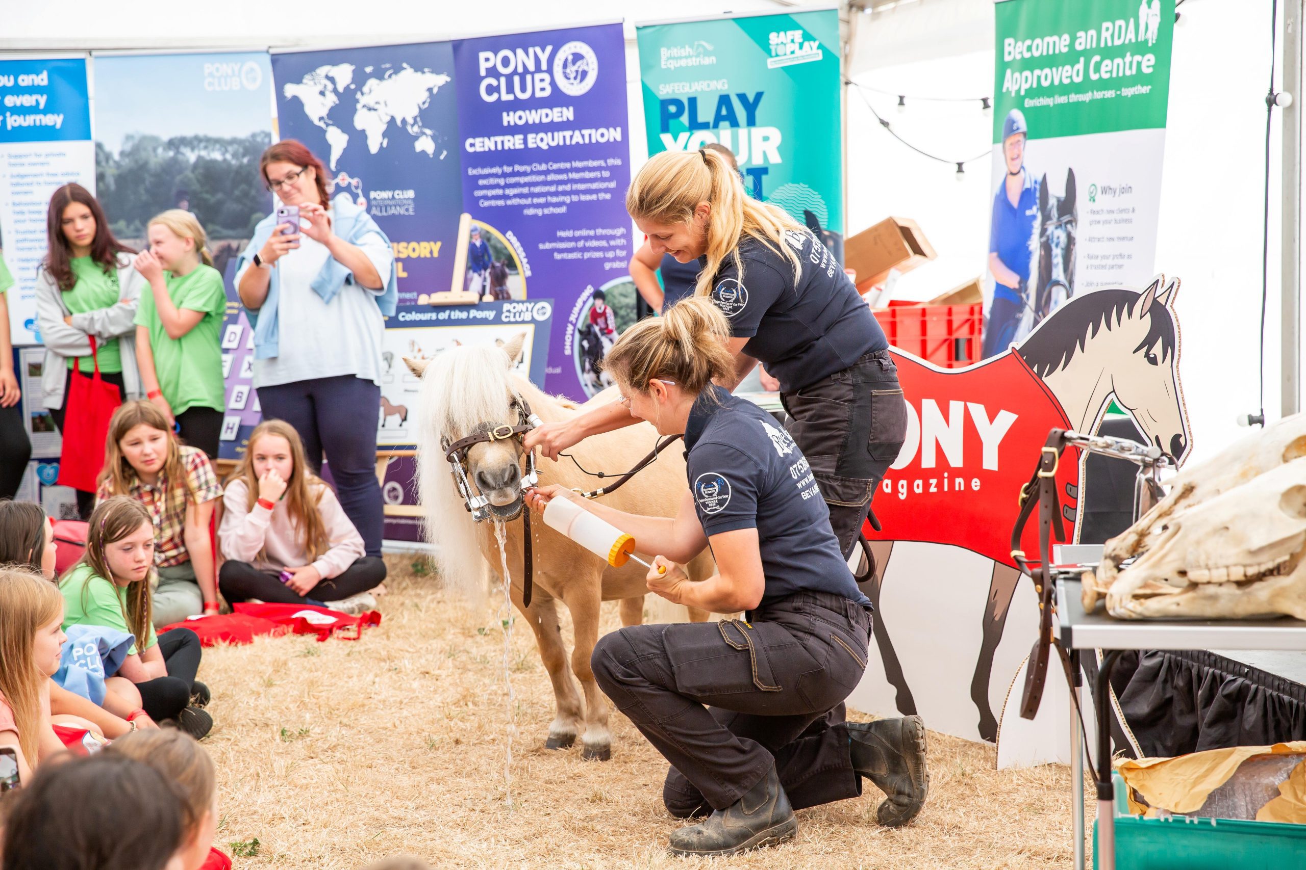 Gallery Image for Pony Club