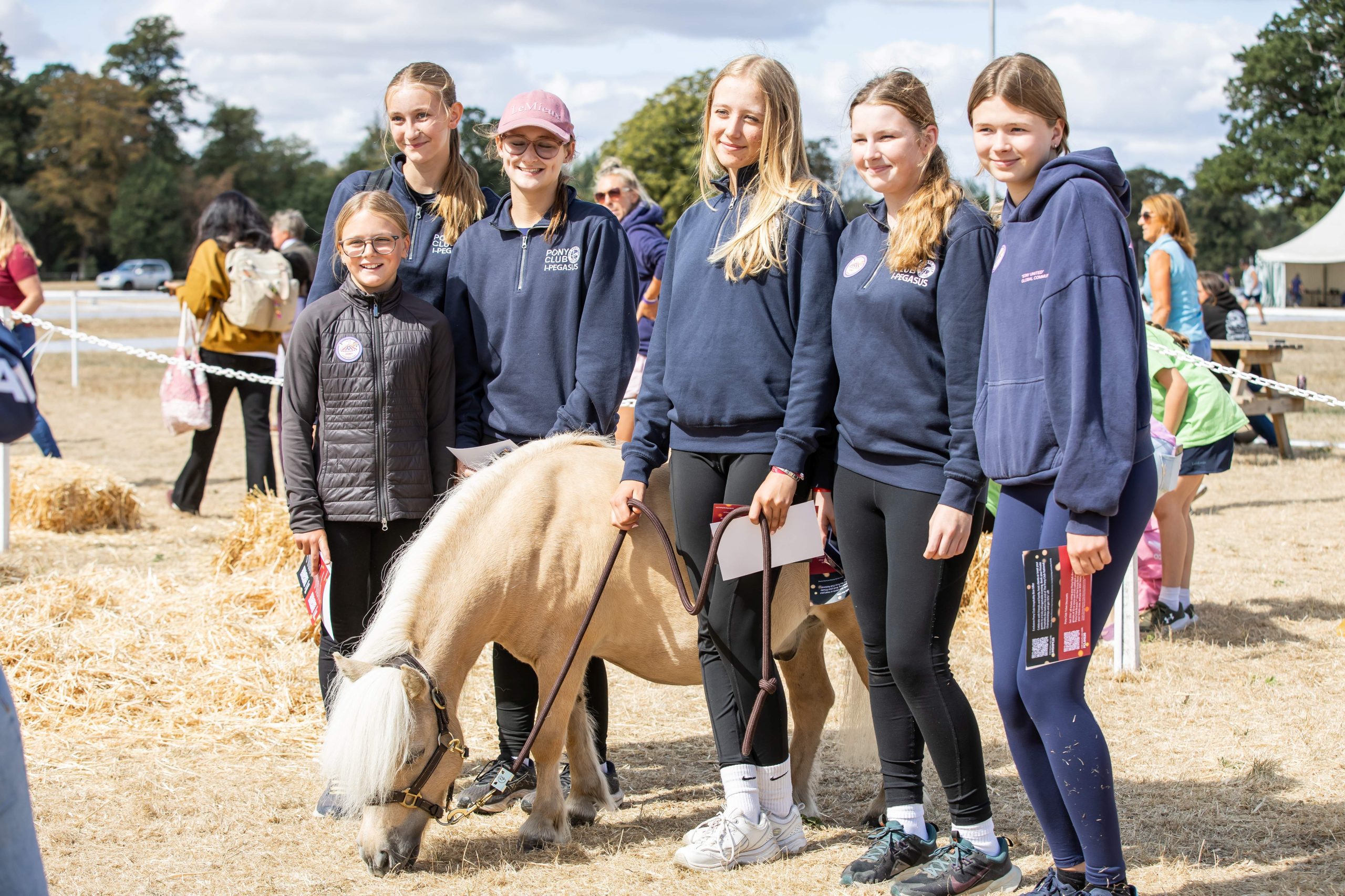 Gallery Image for Pony Club