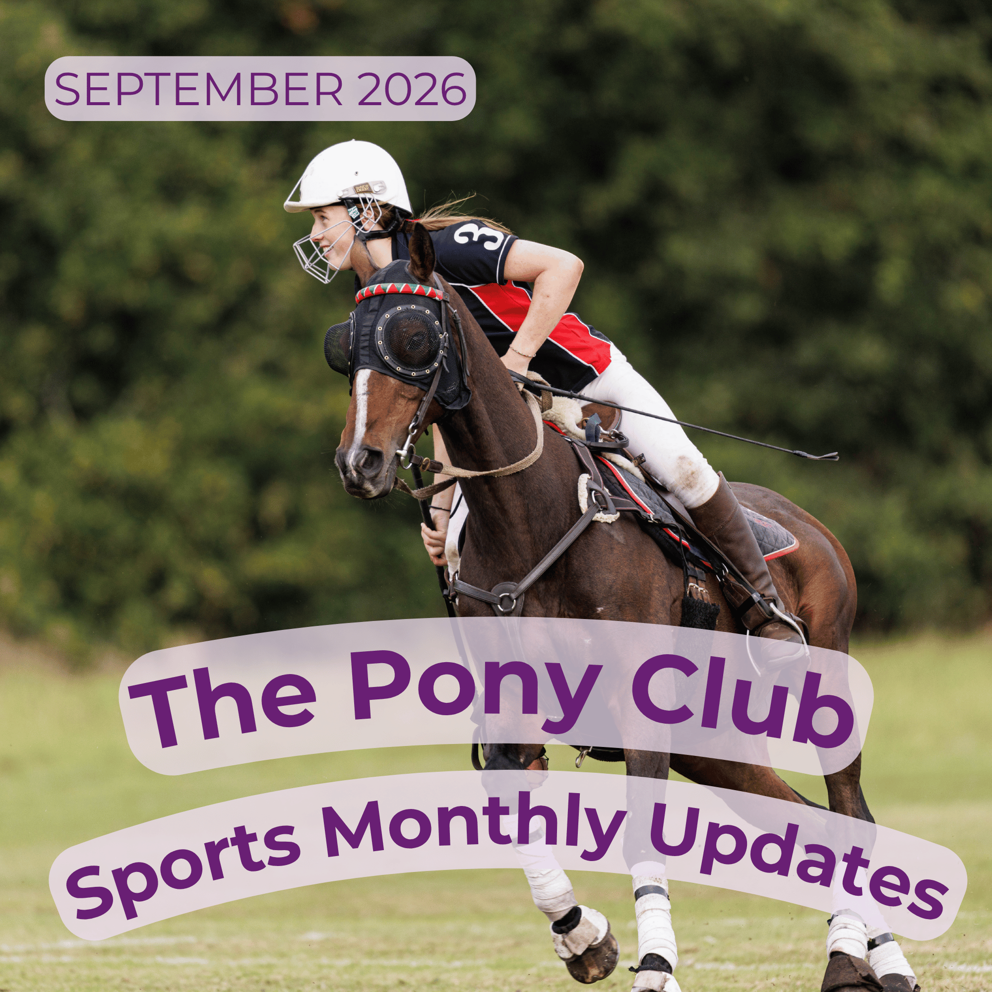 Sports Update - September 2026