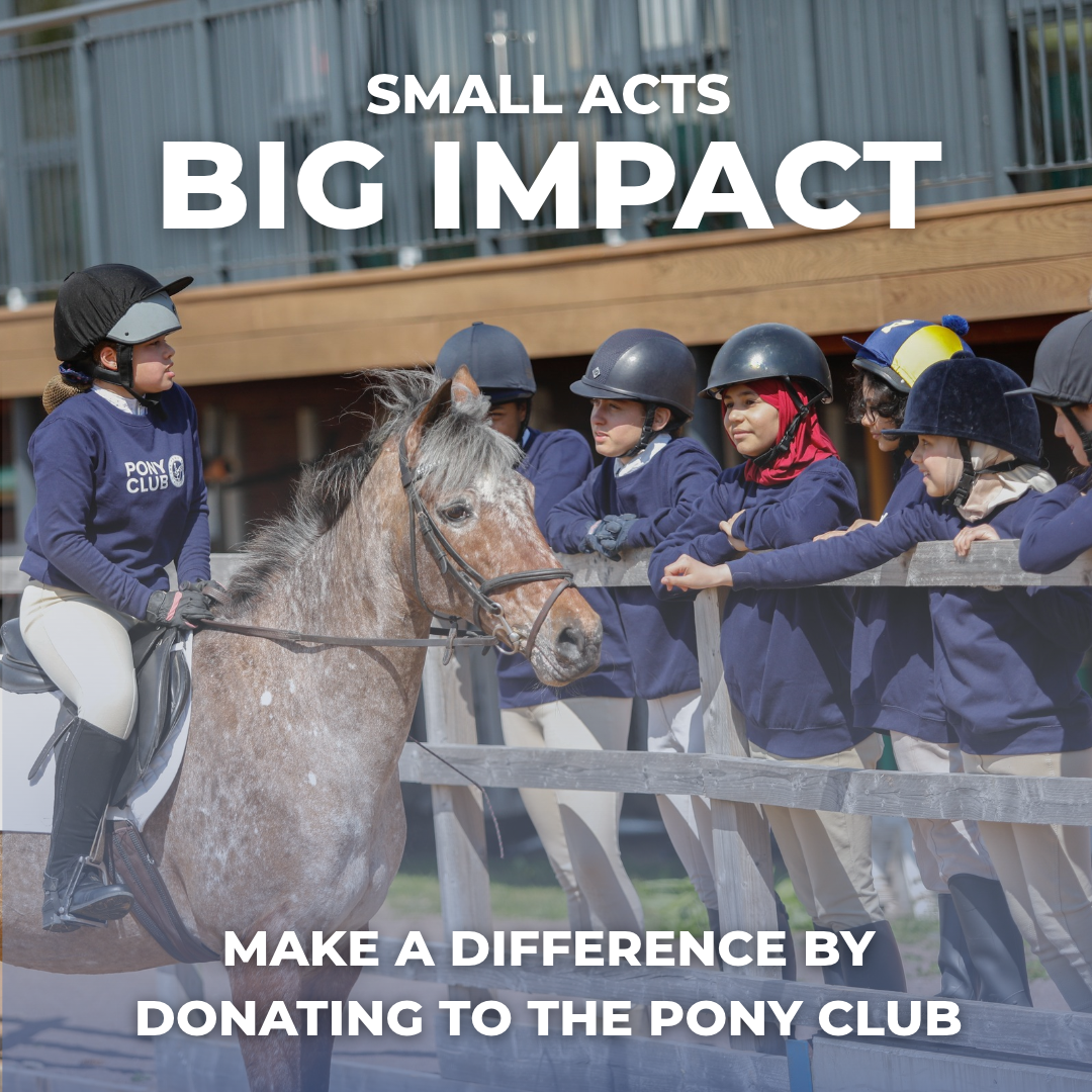 Make a Difference by Donating to The Pony Club 
