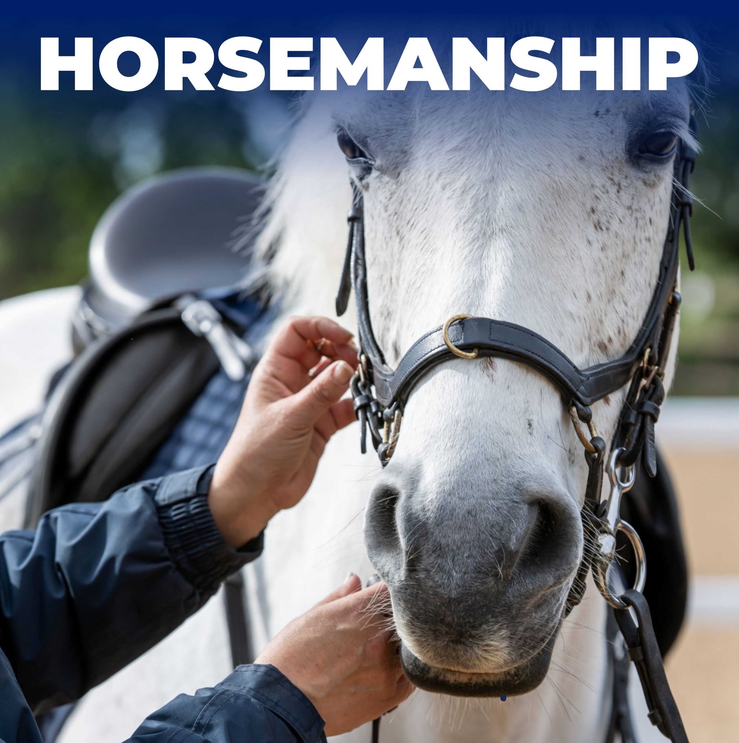 Gallery Image for Pony Club