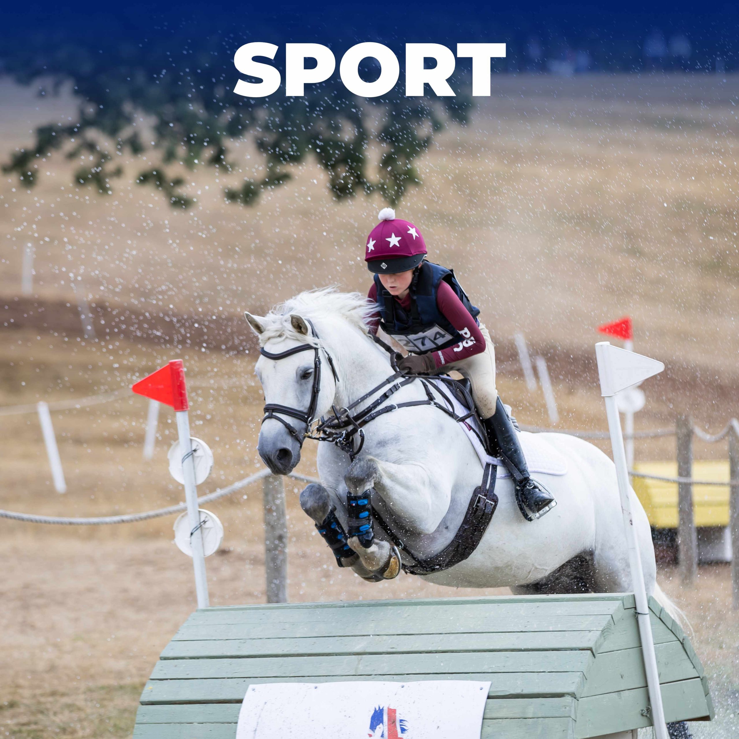 Gallery Image for Pony Club